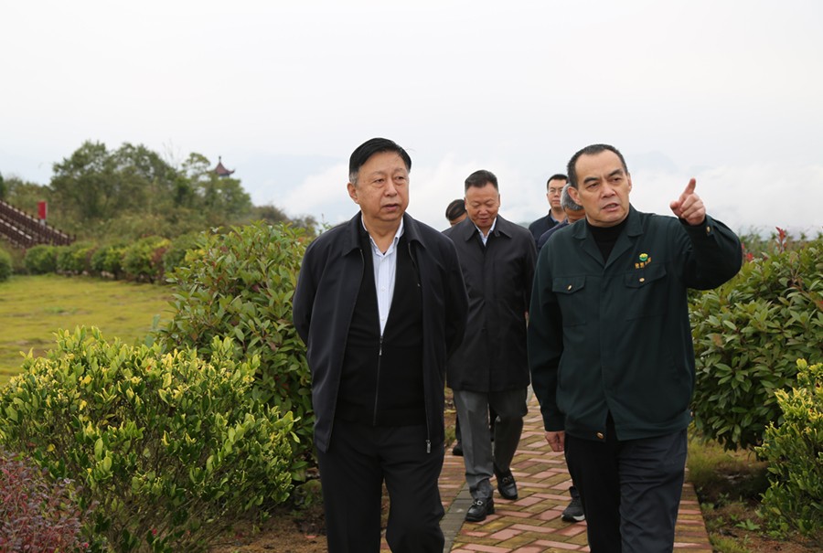 19-2021年10月，原國土資源部副部長汪民蒞臨公司調(diào)研。.jpg
