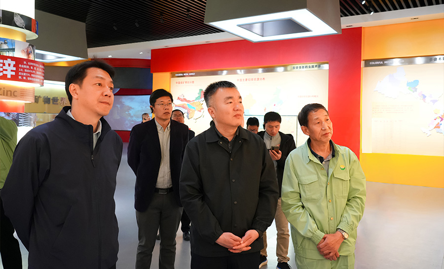 10.4-2024年04月，自然資源部礦保司副司長王博蒞臨公司調(diào)研。.jpg