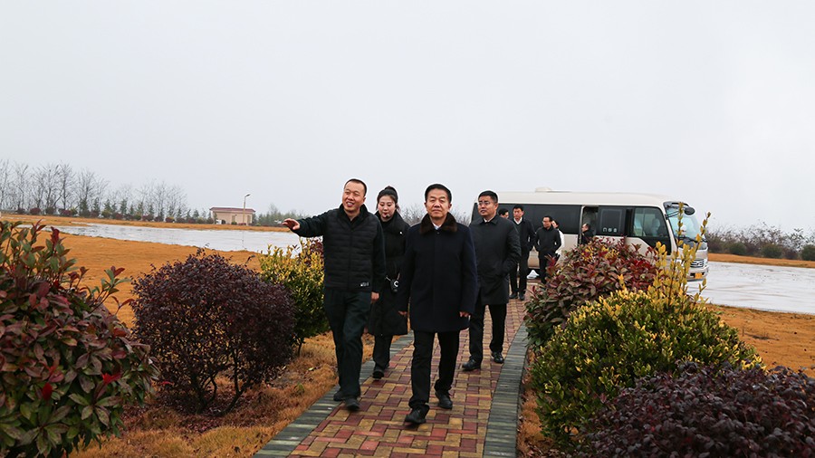 45-2020年12月，省高級人民法院黨組成員、副院長任建國蒞臨金徽股份調(diào)研知識產(chǎn)權(quán)司法保護工作。.jpg